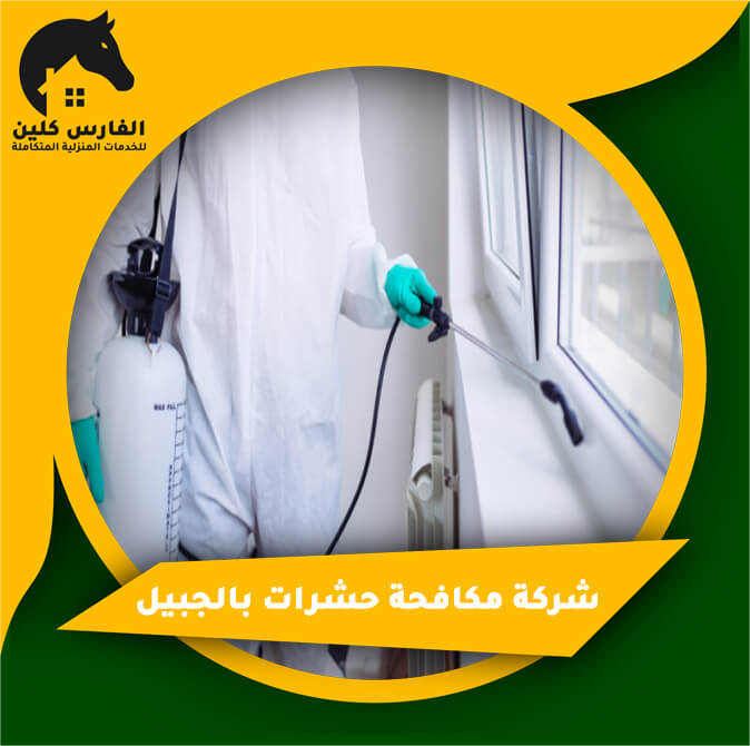 شركة رش حشرات بالجبيل: الحل الأمثل لحماية منزلك من الآفات