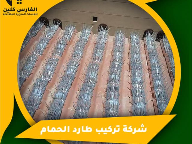 شركة تركيب طارد الحمام بالدمام