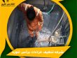 شركه تنظيف خزانات برأس تنوره