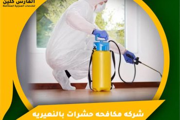شركة مكافحة حشرات بالخفجي