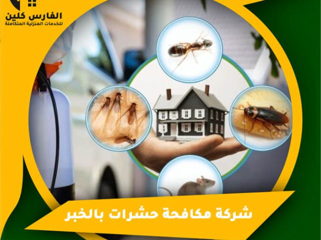 شركة مكافحة حشرات بالخبر