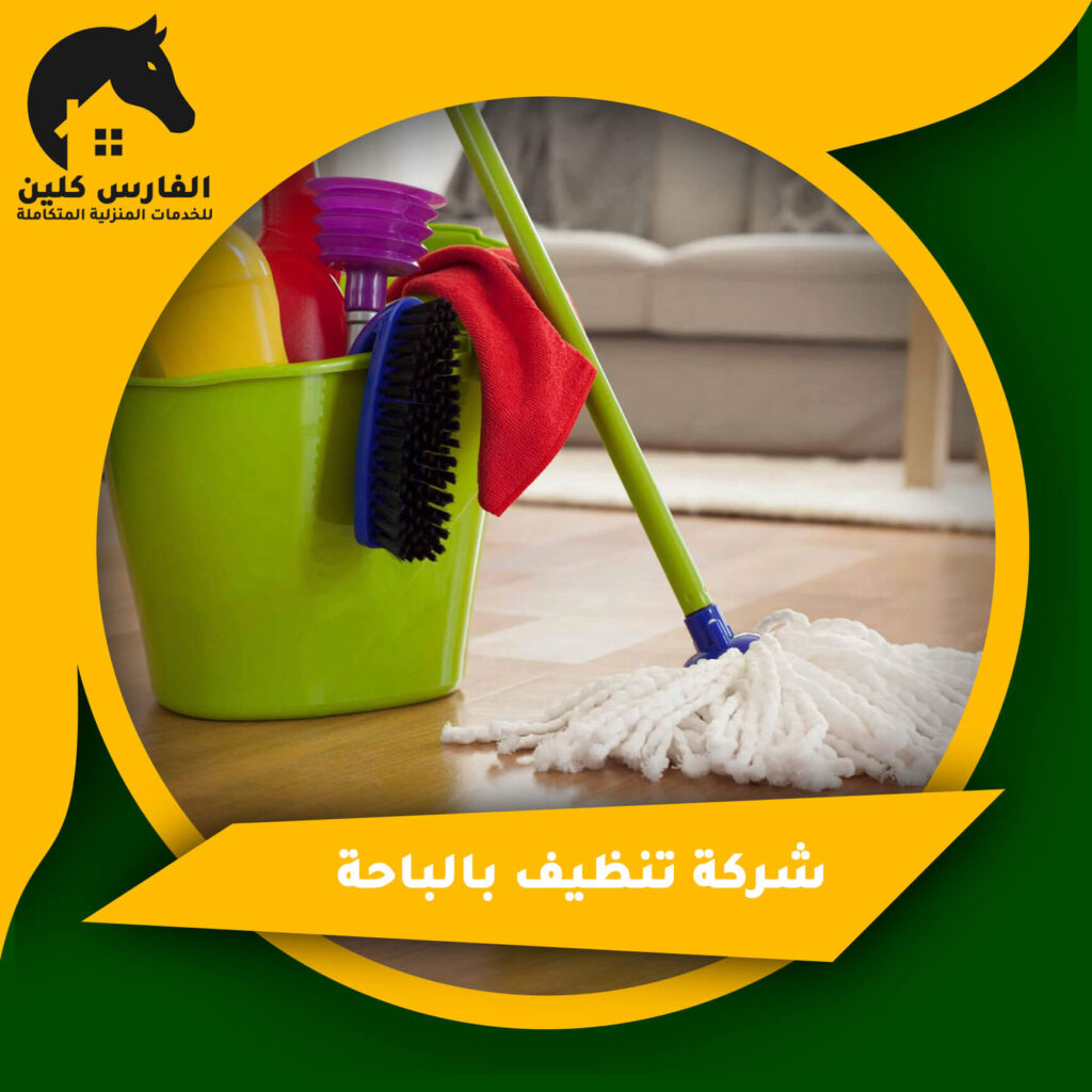 شركة تنظيف بالباحة