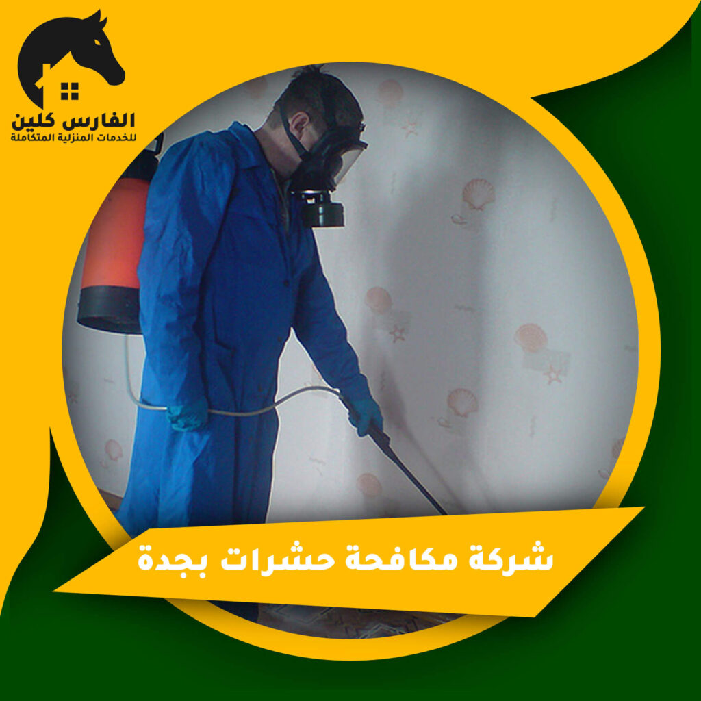 شركة مكافحة حشرات بجدة