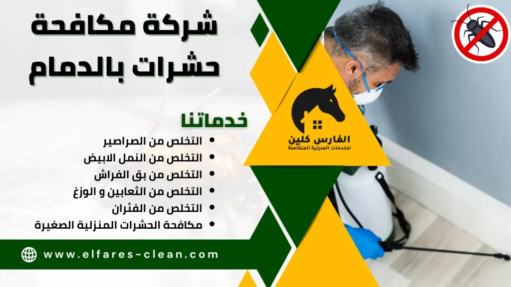 شركة مكافحة حشرات بالدمام