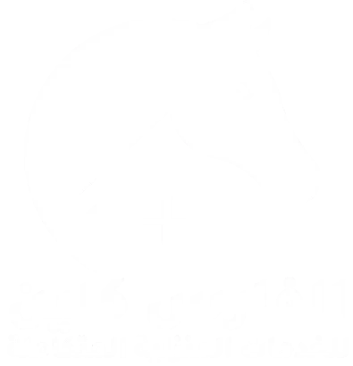 الفارس كلين