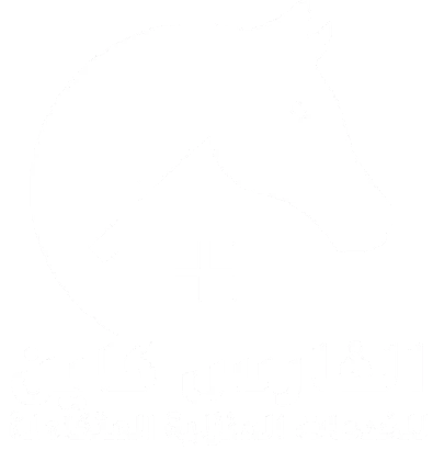 الفارس كلين