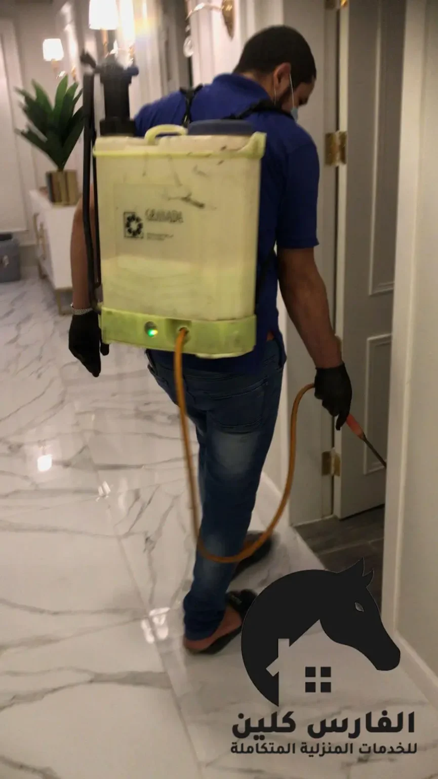 رش البيت من الحشرات