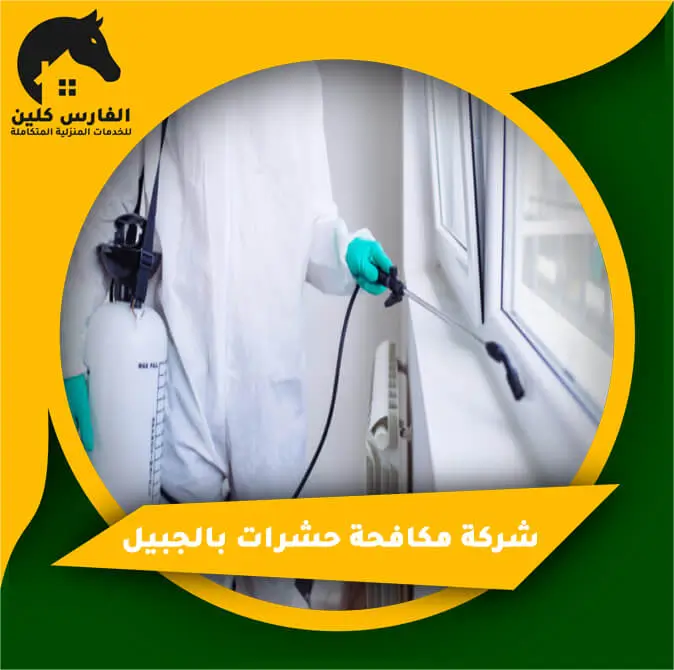 شركة مكافحة حشرات بالجبيل